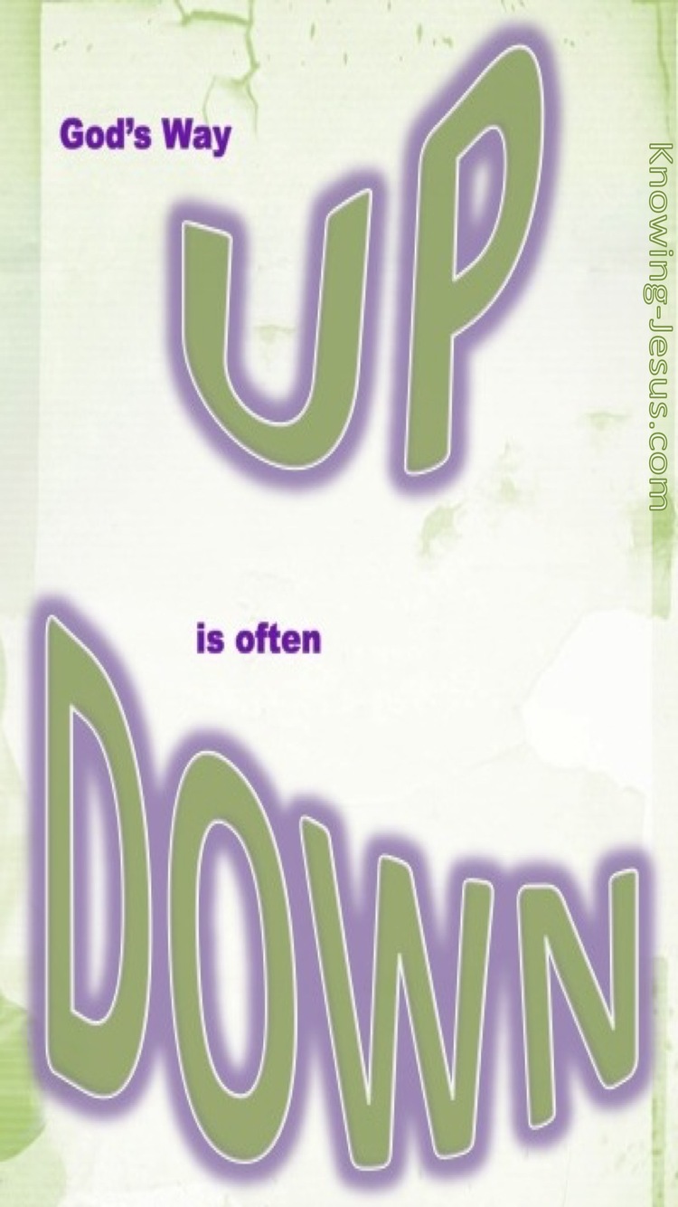 The Way Up is Down (devotional) (green) - Romans 7-24